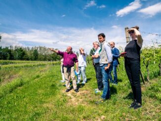 I grandi vigneti del Barolo