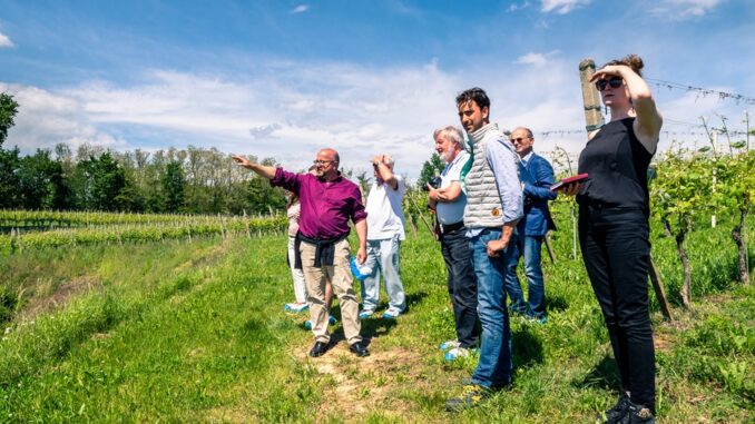 I grandi vigneti del Barolo