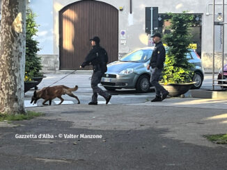 Polizia di Stato in collabrazione con la polizia locale per un'operazione antidroga a Bra 3