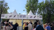 Assemblea Banca d'Alba. La fotogallery della giornata