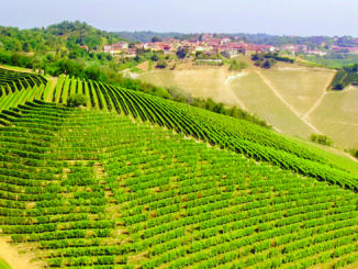 In Piemonte 3.438 imprese sono passate al biologico