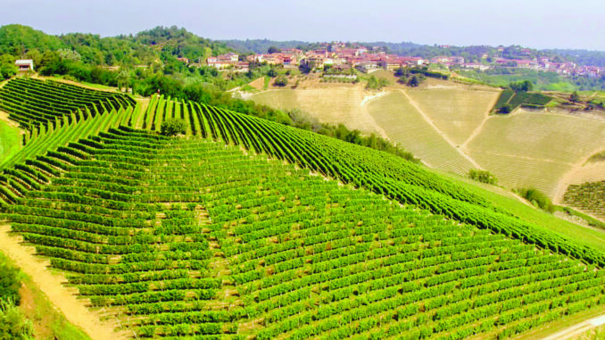 In Piemonte 3.438 imprese sono passate al biologico