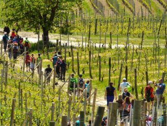 Borghi di...Vini sul sentiero dei grandi Rossi