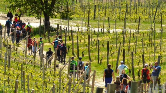 Borghi di...Vini sul sentiero dei grandi Rossi