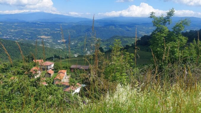 Boschi fatati e panorami incantati: festeggiamo l’estate sui sentieri dell’Alta Langa