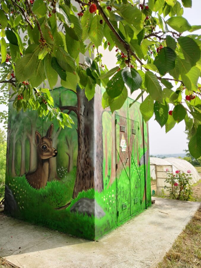 Animali e frutti abbelliscono le cabine elettriche