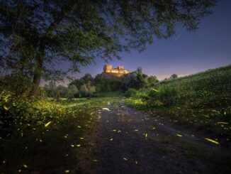 La magica sera di San Giovanni: borghi Illuminati e boschi Incantati