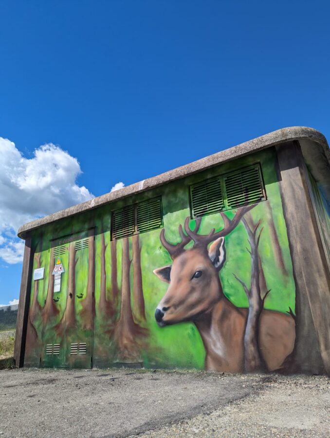 Animali e frutti abbelliscono le cabine elettriche 1