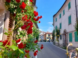 Bossolasco ultrabanale, un viaggio per esplorare la bellezza di emozioni e paesaggi