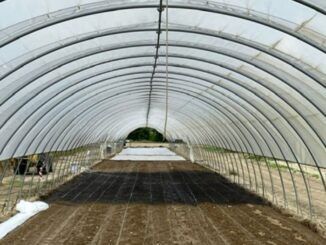 Riparte dall’astigiano il progetto pilota  di solarizzazione