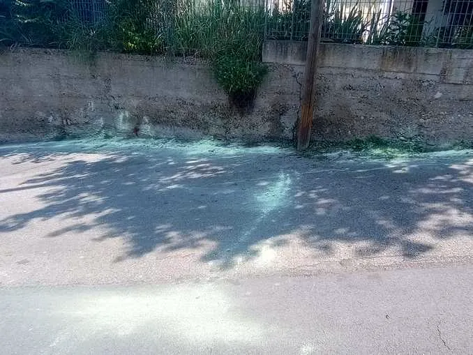 Zolfo per allontanare i gatti, Stop animal crimes presenta una denuncia da Cherasco