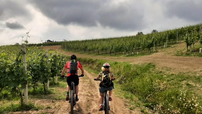 ebike-tour Tower Bike: e-bike tour guidato da Albaretto della Torre tra le colline dell'Alta Langa