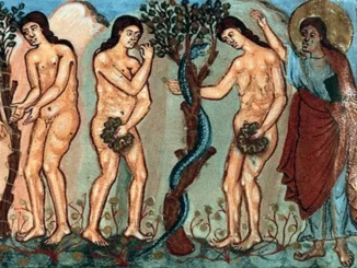 Siamo in comunione con Gesù o contro di lui?