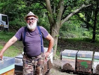Mercato della terra / Il miele, una questione di passione familiare