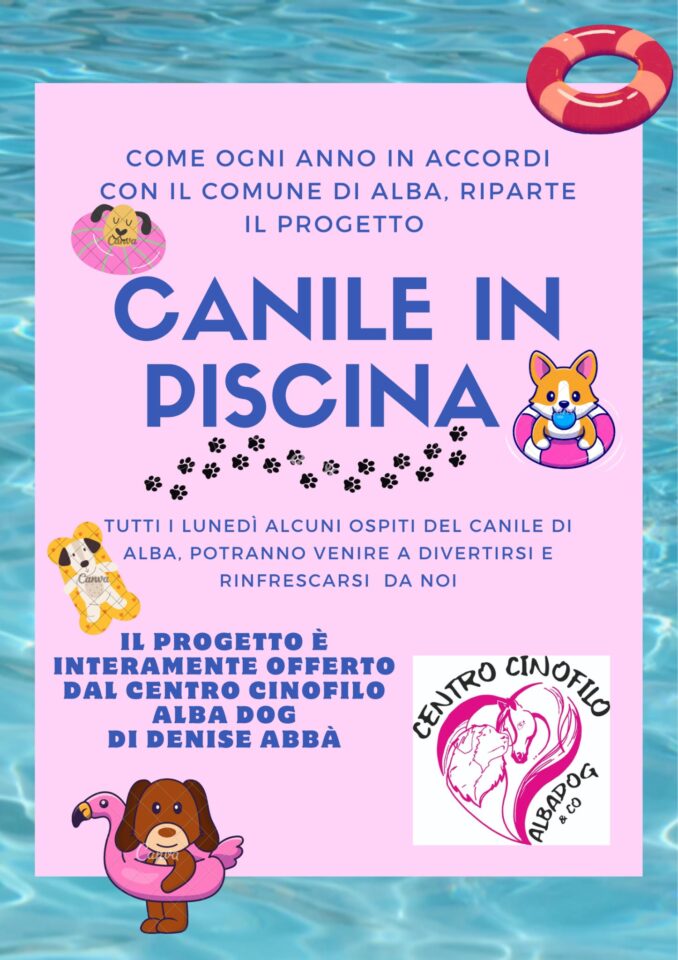 Anche quest’anno ritorna ad Alba “Canile in piscina” 2