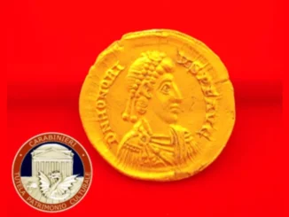 Tombaroli a Bene Vagienna: i Carabinieri recuperano monete e un sarcofago