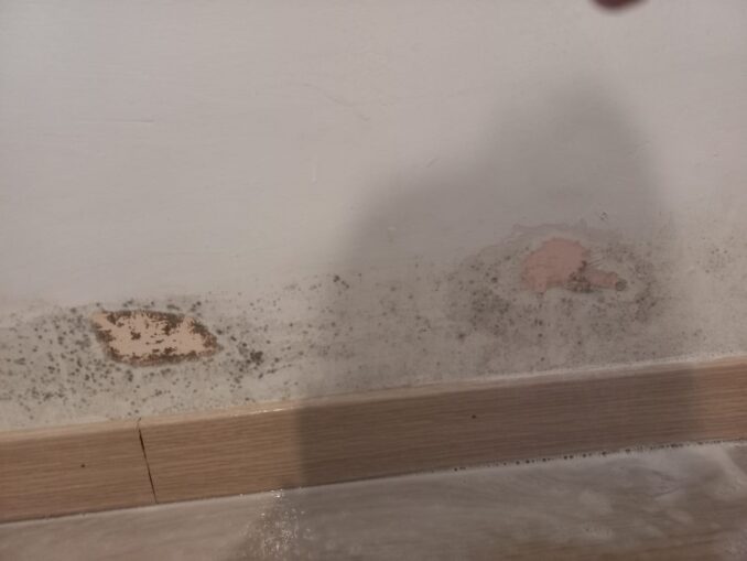 Superbonus ad Alba / Bloccati in casa tra la muffa (FOTO) 1