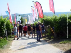 Oltre 500 partecipanti alla decima edizione delle prove in vigneto di Confagricoltura ad Alba 10