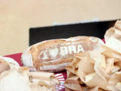Bra