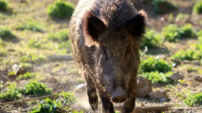 Questa sera (giovedì 4) gli agricoltori protestano davanti al grattacielo della Regione