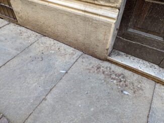 Quei piccioni in via Manzoni 1