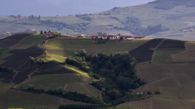 Camminando al tramonto tra Borghi e Castelli sulle colline del Barolo