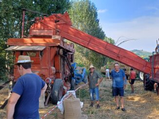 A San Defendente di Castagnole delle Lanze è stata celebrata la trebbiatura del grano 1