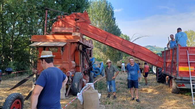 A San Defendente di Castagnole delle Lanze è stata celebrata la trebbiatura del grano 1