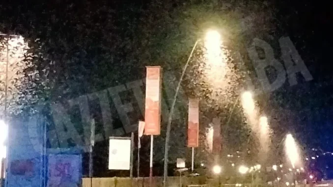 Schiudono le effimere, chiuso per precauzione il ponte sul Tanaro ad Alba 3