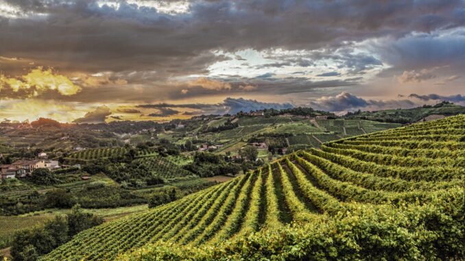 foto di Carlo Avataneo_Roero La meraviglia Unesco di Langhe, Roero e Monferrato: una mostra fotografica a Castagnole delle Lanze
