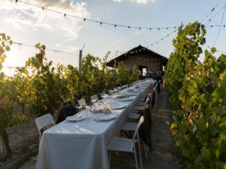 La luna e il ciabot - cena di fine estate in vigna tra i filari nel Roero