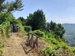 Un sentiero in più a Novello. Naturaltrek pulisce un percorso dimentciato 1