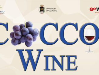 Cocco...Wine 2024 - Cocconato d'Asti venerdì 30, sabato 31 agosto e domenica 1 settembre