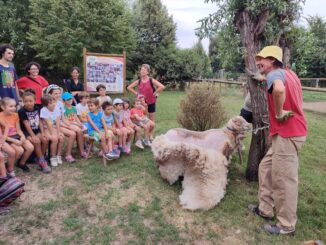 In frazione Riva a Bra l’estate è super con Piedi per terra 1