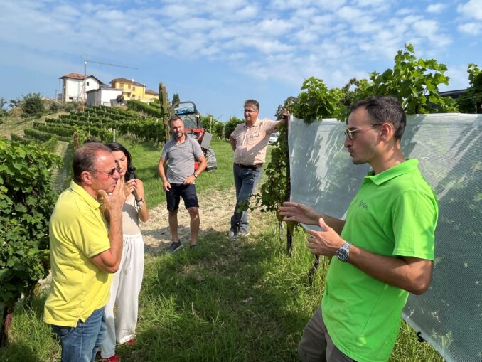 Nei vigneti del Moscato con le prove sperimentali di Agrion 1