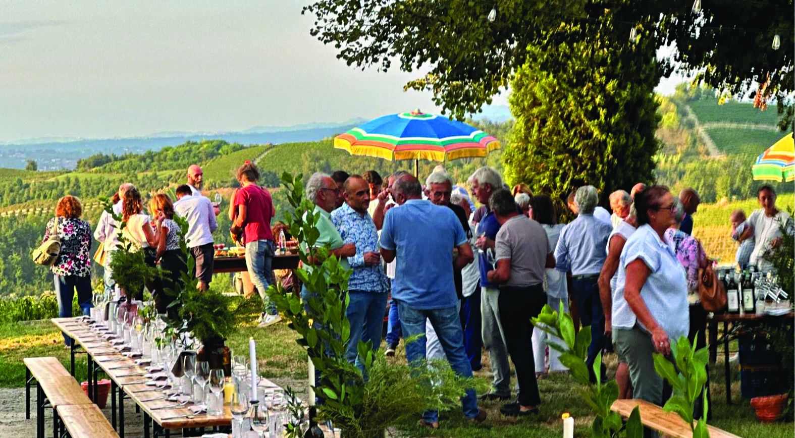 La storia / I vini roerini di Hilberg Pasquero 2