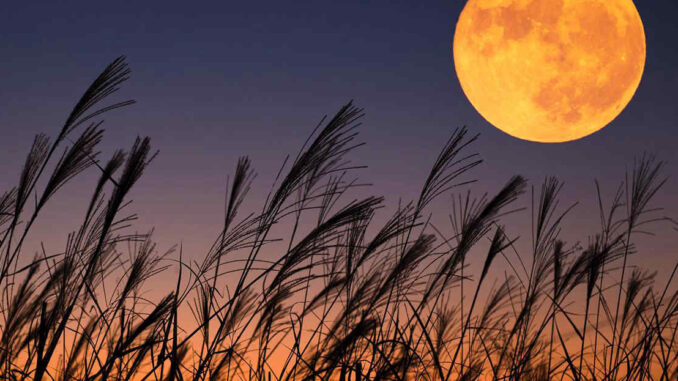 Luna-del-Raccolto Ad ammirar la superluna sulle colline di Diano: una notte magica