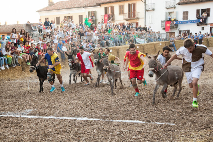 Si avvicina il Palio degli asini di Cocconato d'Asti 1