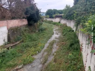 Pulizia del torrente Riddone ad Alba