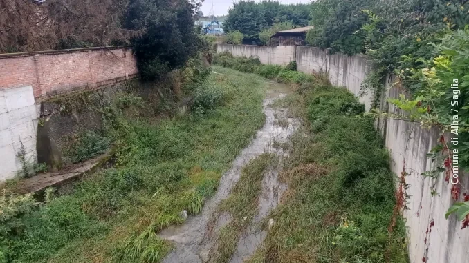 Pulizia del torrente Riddone ad Alba