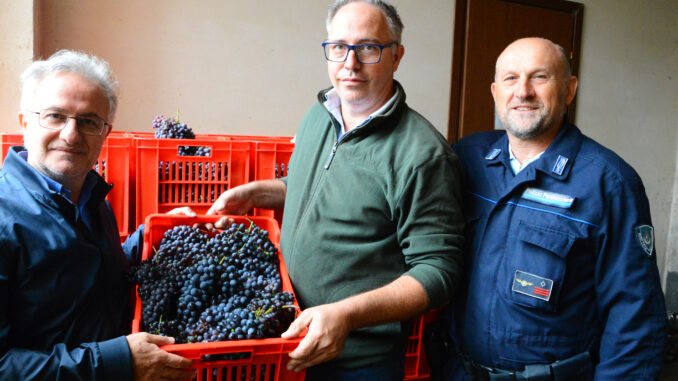 Vendemmia carcere - 1 Un vino che vale per davvero la pena