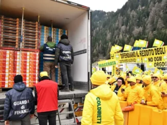 Niente residui di prodotti chimici negli ortaggi importati: la richiesta di Coldiretti all'Europa