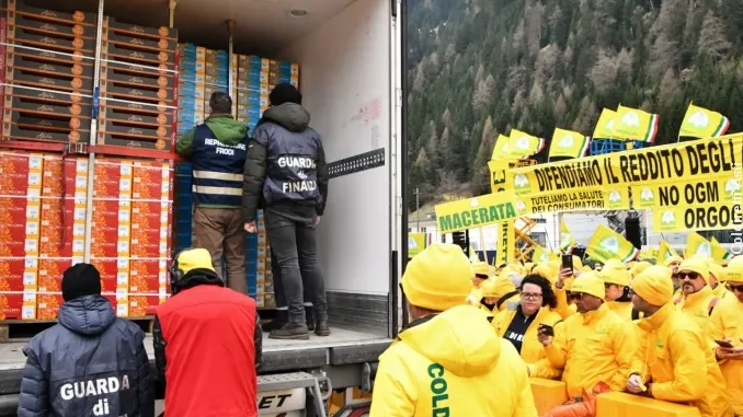 Niente residui di prodotti chimici negli ortaggi importati: la richiesta di Coldiretti all'Europa