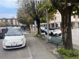 Bra / L’aria sta migliorando: tanti licheni, poco smog da Pm10 1