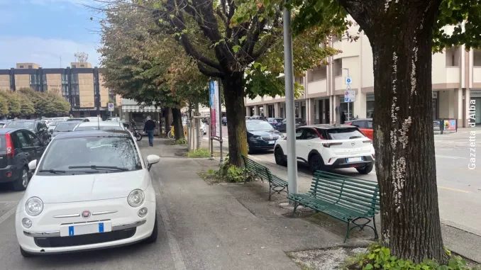 Bra / L’aria sta migliorando: tanti licheni, poco smog da Pm10 1