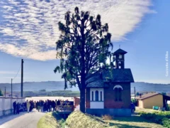 Festa alla cappella degli orti della Società ortolani di Bra il messaggio di papa francesco 4