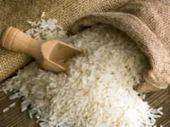 Terza tappa di avvicinamento al festival Bra