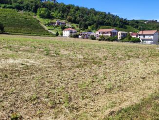 Si costruisce in strada Sottoripa, ma il progetto della variante resta 1