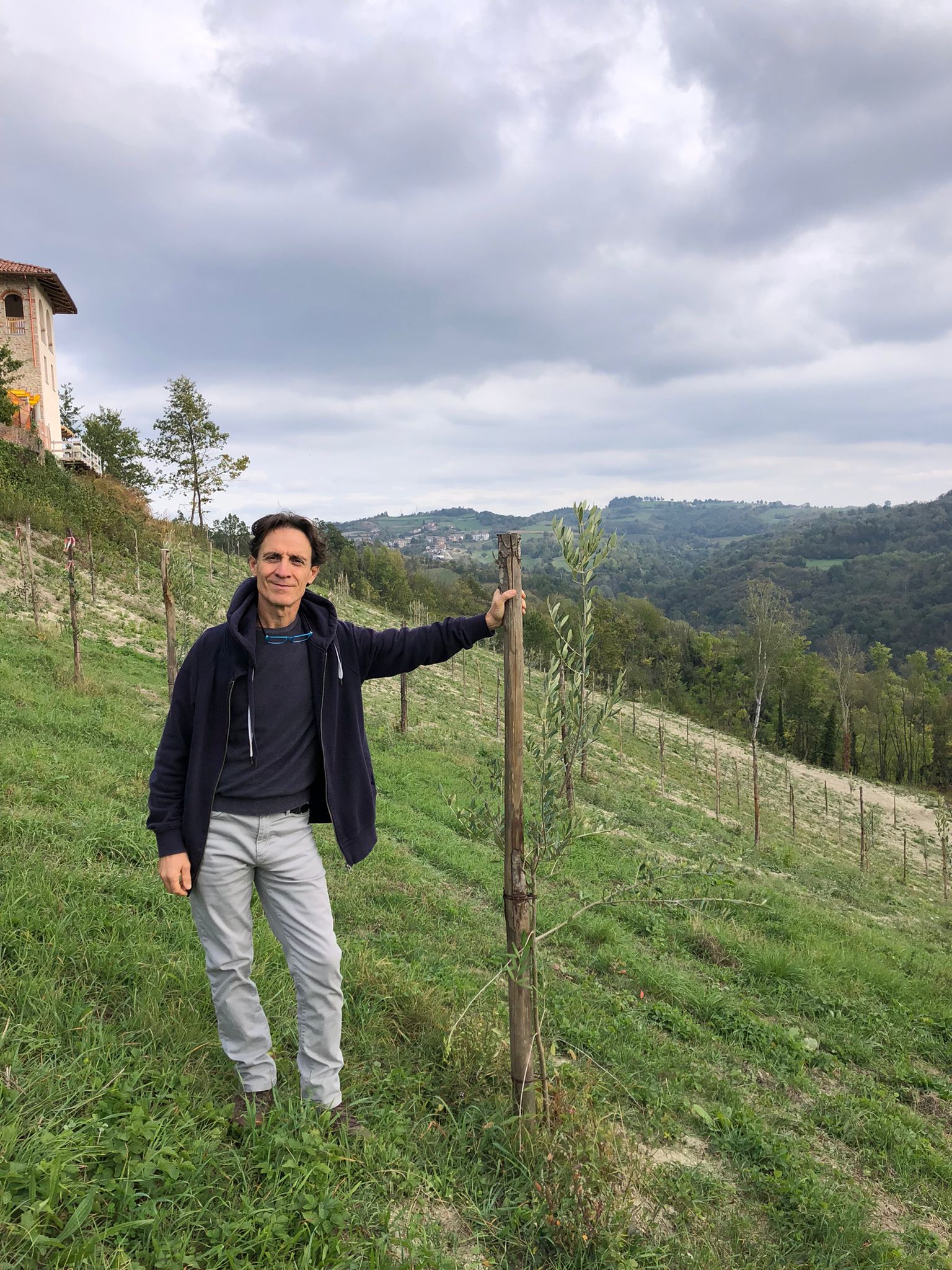 Anche ad Alba si raccolgono olive: «Nessun problema con il freddo» 2