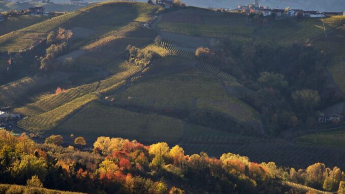 Castiglione-Falletto-vigneti-autunno-1400x875 Variazioni d’autunno: dalle colline dei Grandi Rossi alle colline dell’Alta Langa